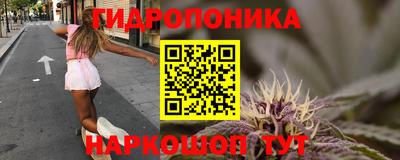 сатива Первоуральск