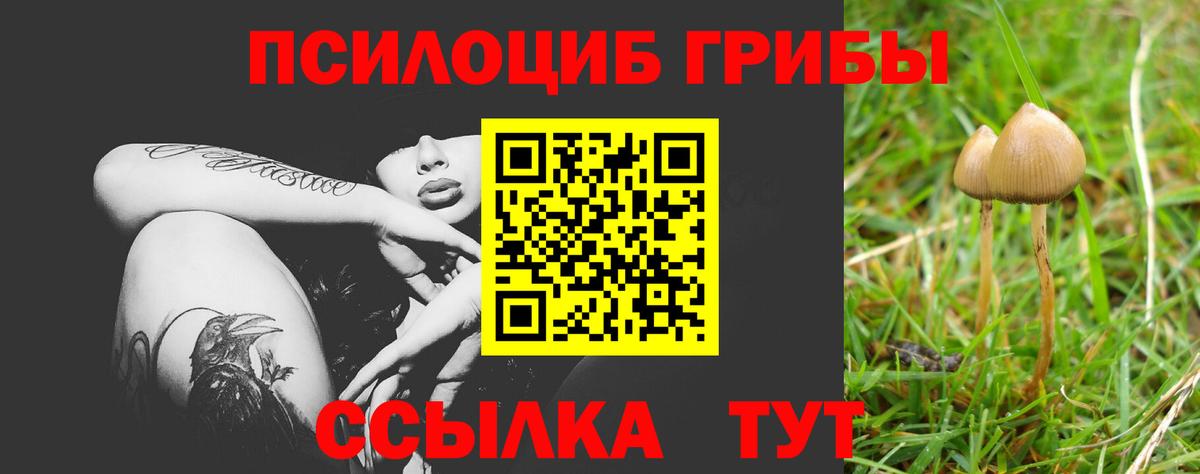 Нарьян-Мар  Галлюциногенные грибы Cubensis  купить закладку  Вход с VPN 